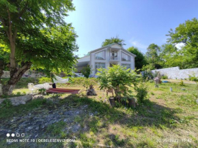 Peaceful Riverbank Villa SVDA